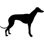 Greyhound hond silhouet vector illustraties