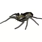Hämähäkkivektorin ClipArt-kuva
