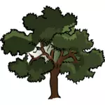 Vector clip art of wide oak tree