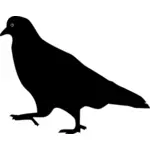 Pigeon walking silhouette vector image