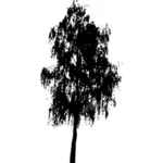 Дерево силуэт векторное изображение