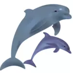 שני דולפינים