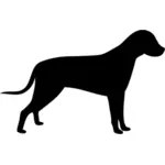 Immagine in piedi di vettoriale sagoma cane
