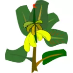 Pohon pisang dengan buah-buahan matang vektor ilustrasi
