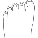 Contorno dos pés
