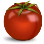 Glanset tomat