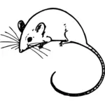 Vector graphics of mouse with long tail