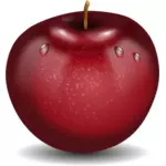 Vector drawing of photorealistic red wet apple