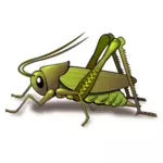 Grønne cricket