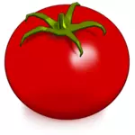 光沢のあるトマト画像