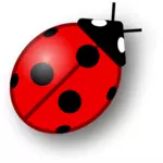 Ladybug vektor symbol