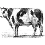 Schizzo di Bull