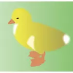 Vector de dibujo de pollito amarillo sobre fondo verde