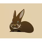 Un coniglio