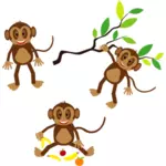 खुश बंदरों