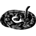 Immagine di vettore del serpente a sonagli