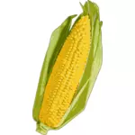 Imagen de mazorca de maíz