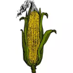 Початки кукуруза