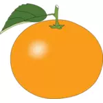 간단한 달콤한 오렌지