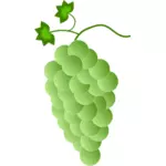 Grün-weiße Trauben