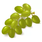 Yeşil üzüm görüntü