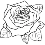 Outlined rose image
