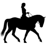 Žena na koni koně silueta