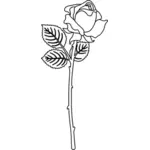 Rose blomst silhuett