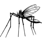 काले और सफेद में मच्छर