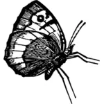 Fjäril i profil pose