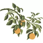 枝にオレンジ