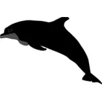 Delfin sylwetka wektor