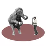 Sirkus show med en elefant