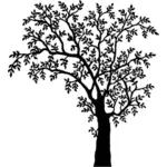 صورة ظلية شجرة