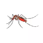 Imagen del mosquito