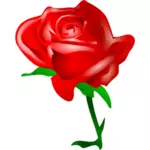 Rozkwitająca Róża czerwony
