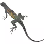 Ilustrasi warna-warni kadal