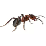 Dessin de fourmi