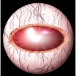 Human eye from inside vector image