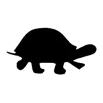 Schwarze Schildkröte