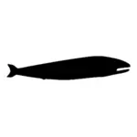 Whale siluett