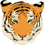 Clip-art vector da cabeça do tigre jovem