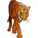 Tiger vildkatt