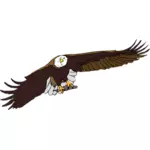Vulturul pleşuv vector grafic