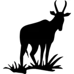 Antilope silhuett