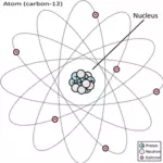 12 koolstof atoom diagram vector afbeelding