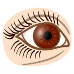Brązowe oczy