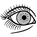 Gráficos vectoriales de ojo femenino línea arte