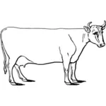 エアーシアの牛