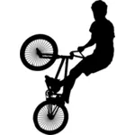 Bike stunt silhouette